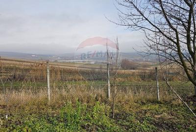 Teren extravilan 10,791mp Falticeni / Strada DJ209A, Opriseni - 13