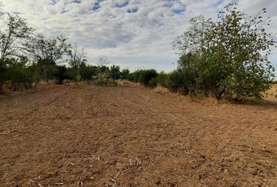 Casă cu 3 camere în Colacu - 2