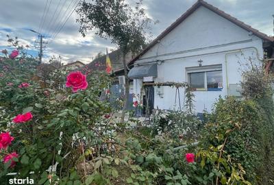 Casă cu 4 camere cu Teren 343 Mp în Central - 13