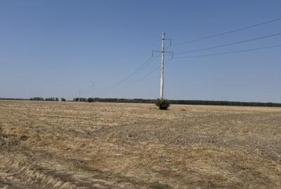 Mihailesti - Giurgiu Teren intravilan - 40.600 mp, deschidere 55 ml - 5