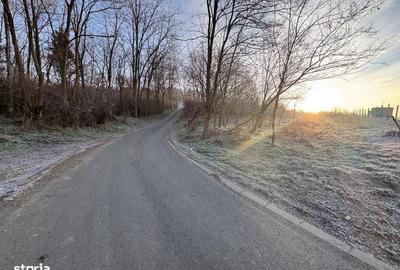 Teren de 2700 mp, în Gușterița - 1