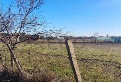 Teren de 1035 mp, în Cefa - 4