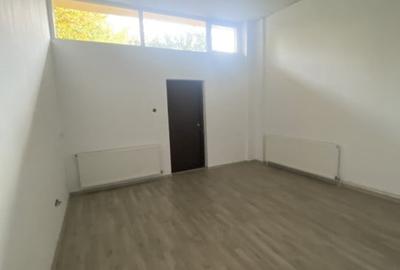 Inchiriere vila Brasov 400 mp - 19