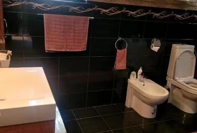 Casă cu 4 camere cu Teren 425 Mp în Ostroveni - 9