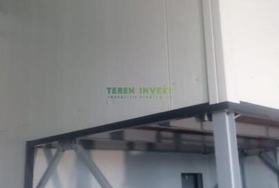 Hala depozitare -  Cernica  Theodor Pallady - 9