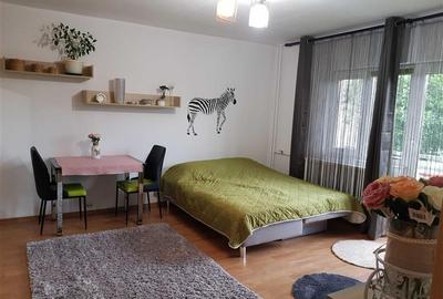 Garsonieră decomandată, mobilată în Bucovina - 6