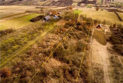 Spațiu comercial, în Vadu Crișului - 7