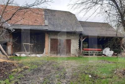 Casa taraneasca .Dalnic - 2