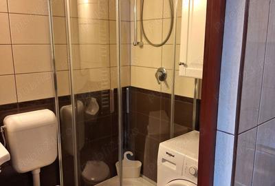 Garsonieră decomandată, mobilată în Aradului - 5