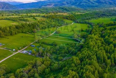 Teren agricol extravilan de 3352 mp, în Șinca Nouă - 8