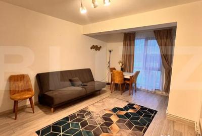 Apartament cu 2 camere decomandat, mobilat în Brazda lui Novac - 7