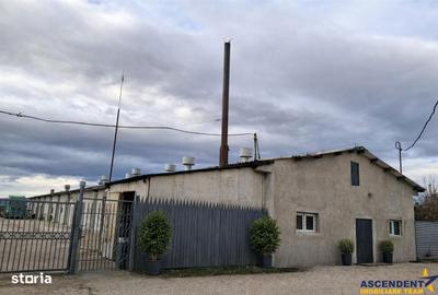 Spațiu comercial, de 800 mp, în Colonia Bod - 7