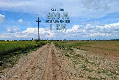 Teren de 27840 mp, în Balotești - 7