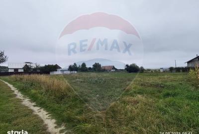Teren de 5000 mp, în Adâncata