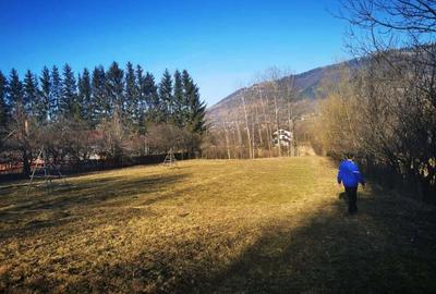 Teren de 1425 mp, în Valea Doftanei - 4