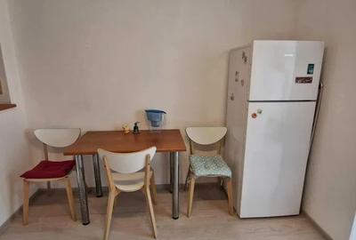 Apartament 2 camere, decomandat, 50mp, Teiul Doamnei - 5