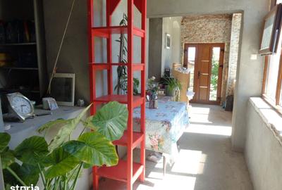 Casă cu 3 camere cu Teren 5132 Mp în Central - 3