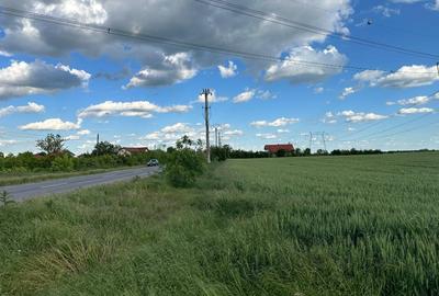 Teren agricol intravilan de 9100 mp, în Frumușani