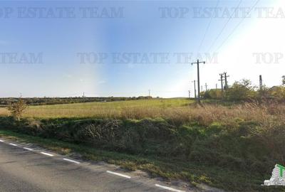 Teren extravilan - Tulcea - comuna Cernea - vanzare - 3