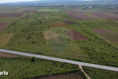 Teren de 33000 mp, în Jariștea - 5