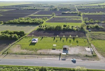 Inchiriere platforma teren 4.000 mp Curtici - 20