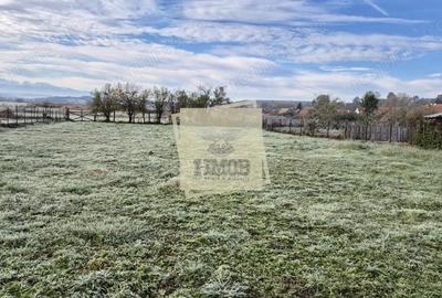 Casă cu 4 camere cu Teren 1900 Mp în Hamba - 2