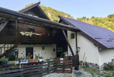 Casă cu 11 camere cu Teren 1560 Mp în Moieciu - 8