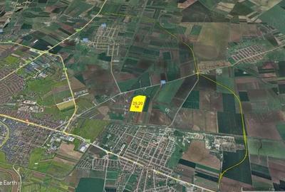 25,20 ha teren intravilan la iesire din Arad spre Horia - 3