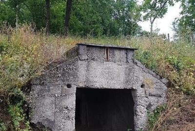 Parava, sat Dragusani, teren 4800mp, la asfalt - 1