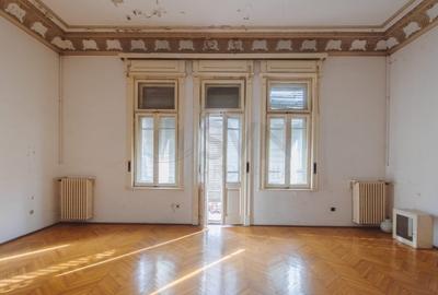 REV2000724 Vila deosebita Lascar Catargiu gradina mare - 8