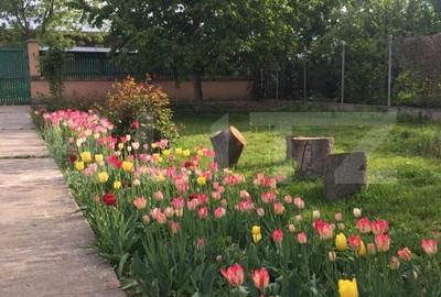 Casă cu 4 camere cu Teren 2700 Mp în Central - 8