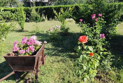 Casă cu 6 camere în Zaharești - 2