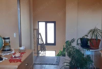 Casa rustica P+M Buftea - 3