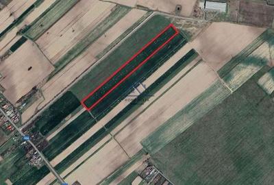 Teren agricol extravilan – Rătești, Argeș - 3