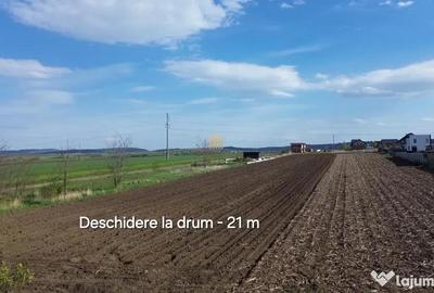 Teren în Tișăuți - 13