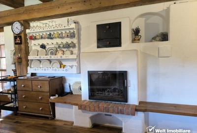 Casa rustica, exclusivista, 5 camere, 170 mp utili, 550 mp teren, Salicea - 19