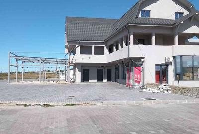 Spațiu comercial, de 10,000 mp, în Brădești - 12