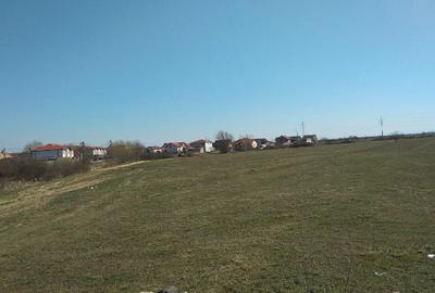 Teren de 10000 mp, în Giroc - 3
