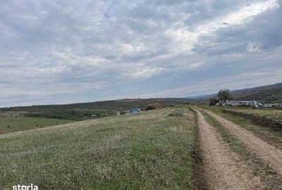 Teren de 4500 mp, în Perieni - 9