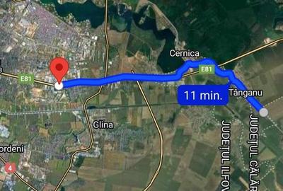 Teren intravilan Cernica 10 minute Bucuresti gaze ,apa ,curent - 5