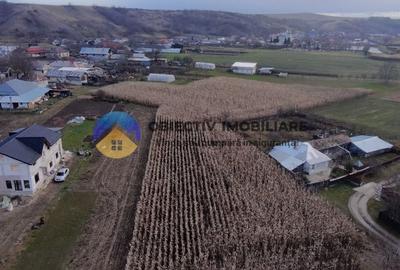 Casă individuală cu 3 camere cu Teren 2335 Mp în Bodești - 3