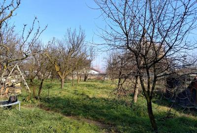 Casa cu Teren 1 671 Mp Santana de Mures, Zona Terenului de Fotbal - 6