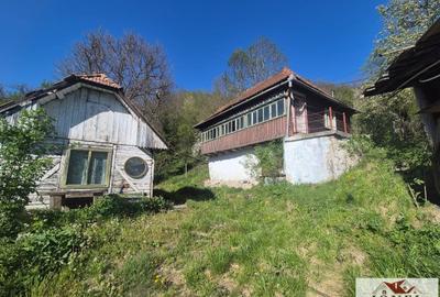 Casă individuală cu 3 camere cu Teren 2834 Mp în Ocoliș - 9
