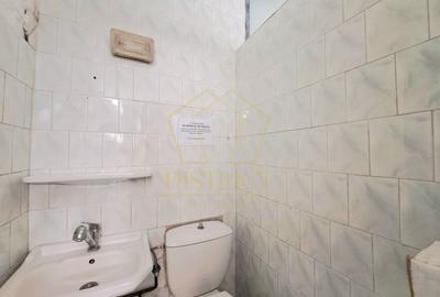 Spatiu Comercial SAD vad bun I Lipovei I Iulius Mall - 5