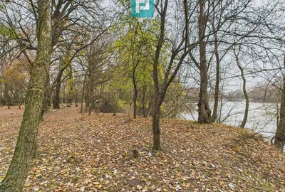 Teren extravilan de 5000 mp, în Periam - 23
