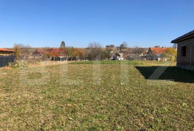 ???? Teren de vanzare in jude?ul Bra?ov 1.481 mp, ut - 4