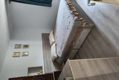 Casa si curte de vanzare, beci, 2 terase, 2 fantani