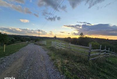 Teren de 5200 mp, în Roșia