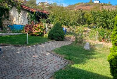 Vand casa zona schit - 5