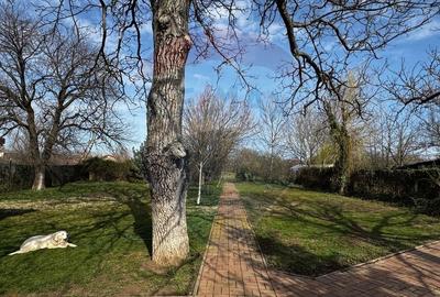 Casa de vanzare cu livada si piscina - Giurgiu - 10